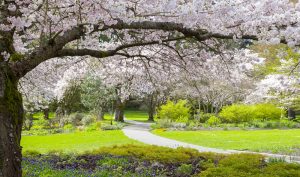 Parque Stanley Vancouver Canada shutterstock 248509858