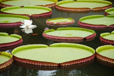shutterstock 1561507732