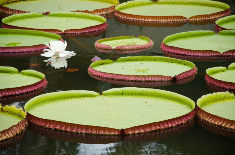 shutterstock 1561507732