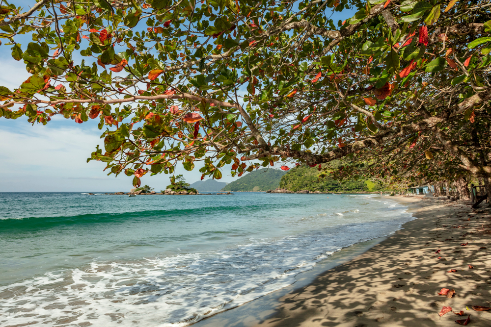 Praia de Castelhanos - Ilhabela - São Paulo | Crédito: Shutterstock.com