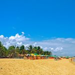 Praia do Gunga - Barra de São Miguel - Alagoas | Crédito editorial: Wagner Santos de Almeida/Shutterstock.com