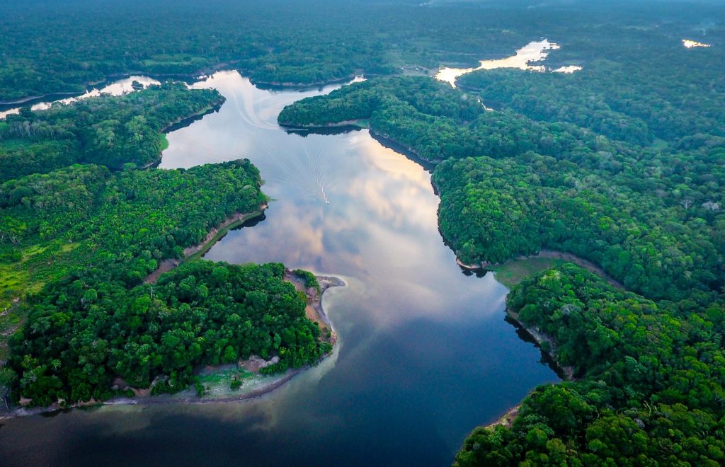 Floresta Amazônica - Brasil | Crédito: Shutterstock