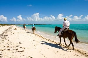 Credito Turks Caicos Tourism Net Hospitality 2 Credito Turks Caicos Tourism Net Hospitality 2