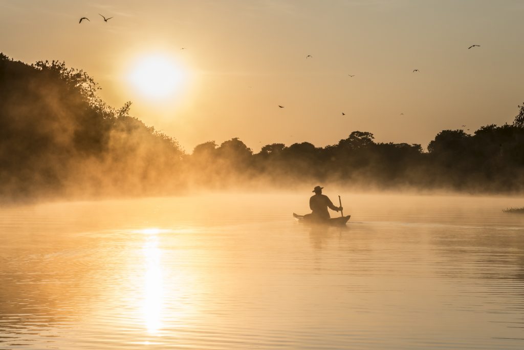 shutterstock_197576570-1024x683 Porto Velho - Rondônia | Crédito: Shutterstock.com