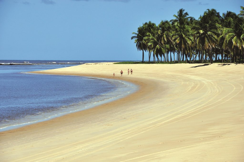shutterstock_82222729_praia-gunga-2-1024x680 Feriado em Maceió - Alagoas | Crédito: Shutterstock.com