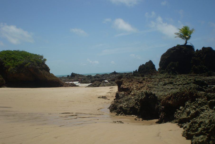 praia do conde joo pessoa pb 14 daniel freire 906x608 Praia do Conde - João Pessoa | Crédito: Daniel Freire