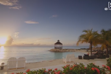 JAMAICA – HOME OF ALL RIGHT