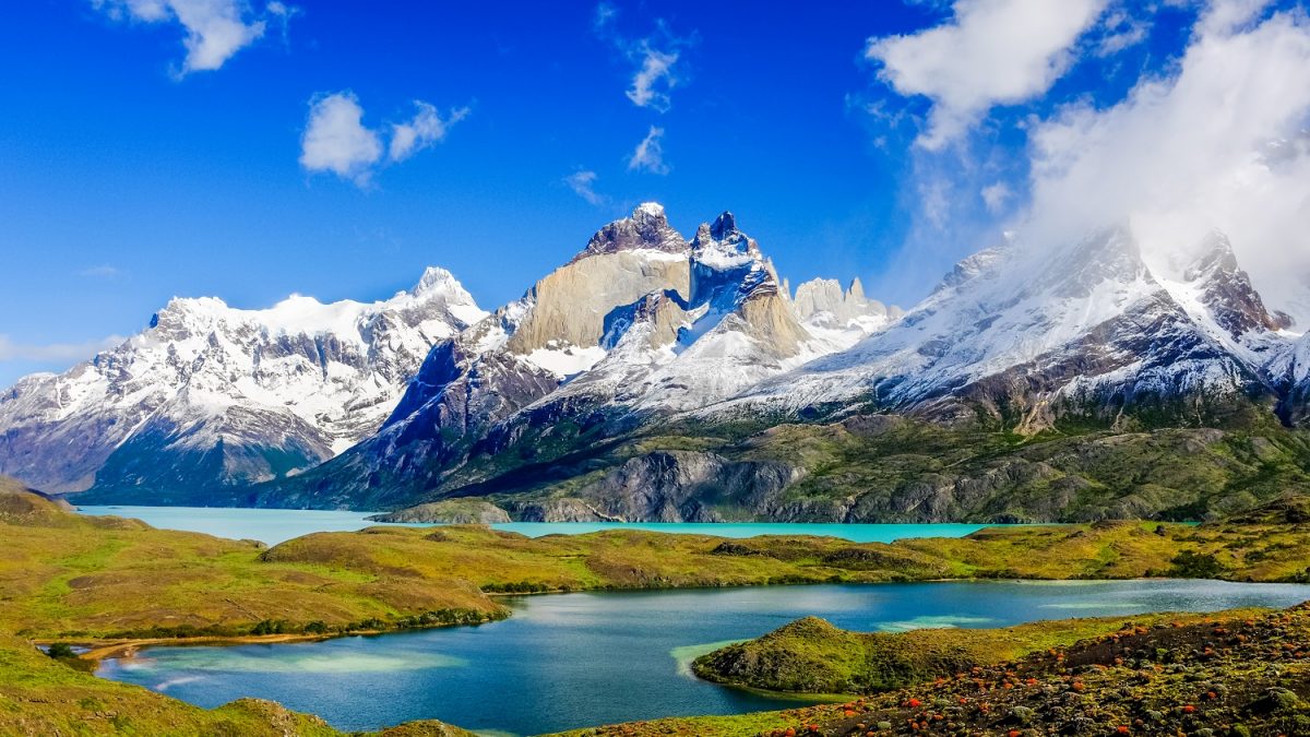 Estudo aponta que raça rara na Patagônia é parente mais próximo de