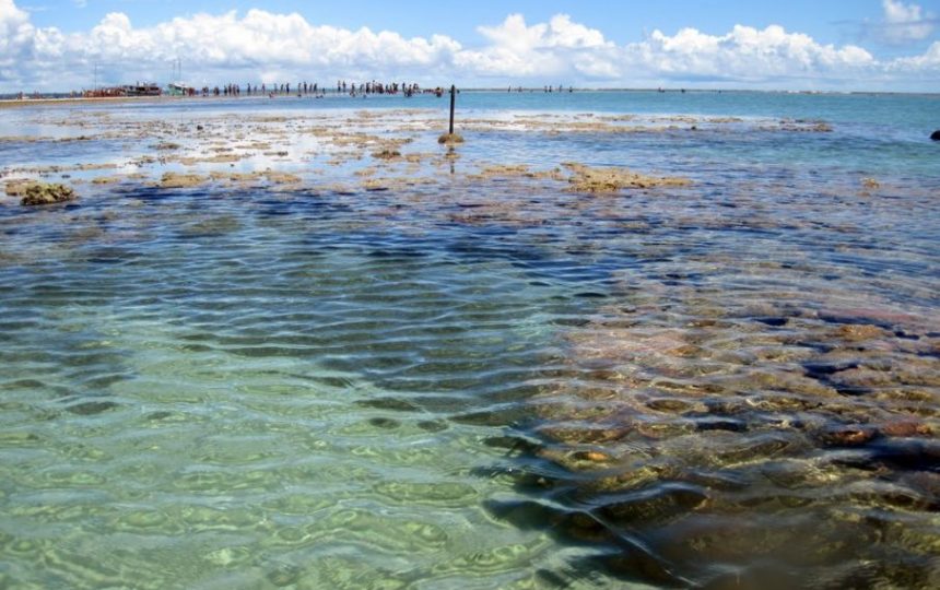 Parque Marinho de Recife de Fora - Porto Seguro - Bahia | Crédito: Divulgação TREND