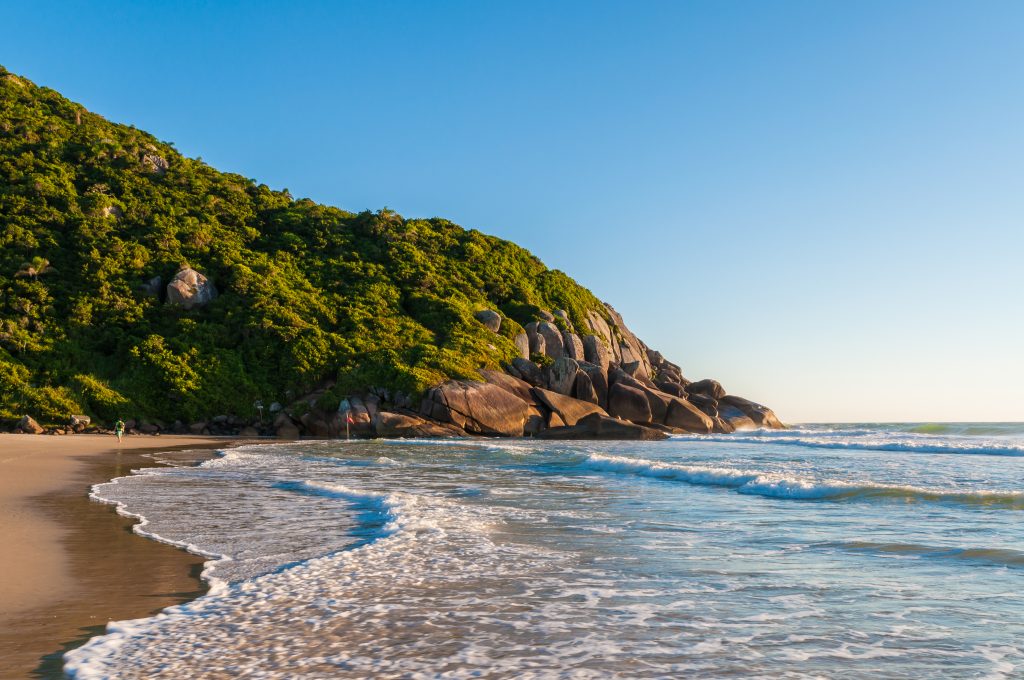 Praia Brava - Florianópolis - Santa Catarina | Crédito: Shutterstock.com Avós- Praia Brava - Florianópolis - Santa Catarina | Crédito: Shutterstock.com