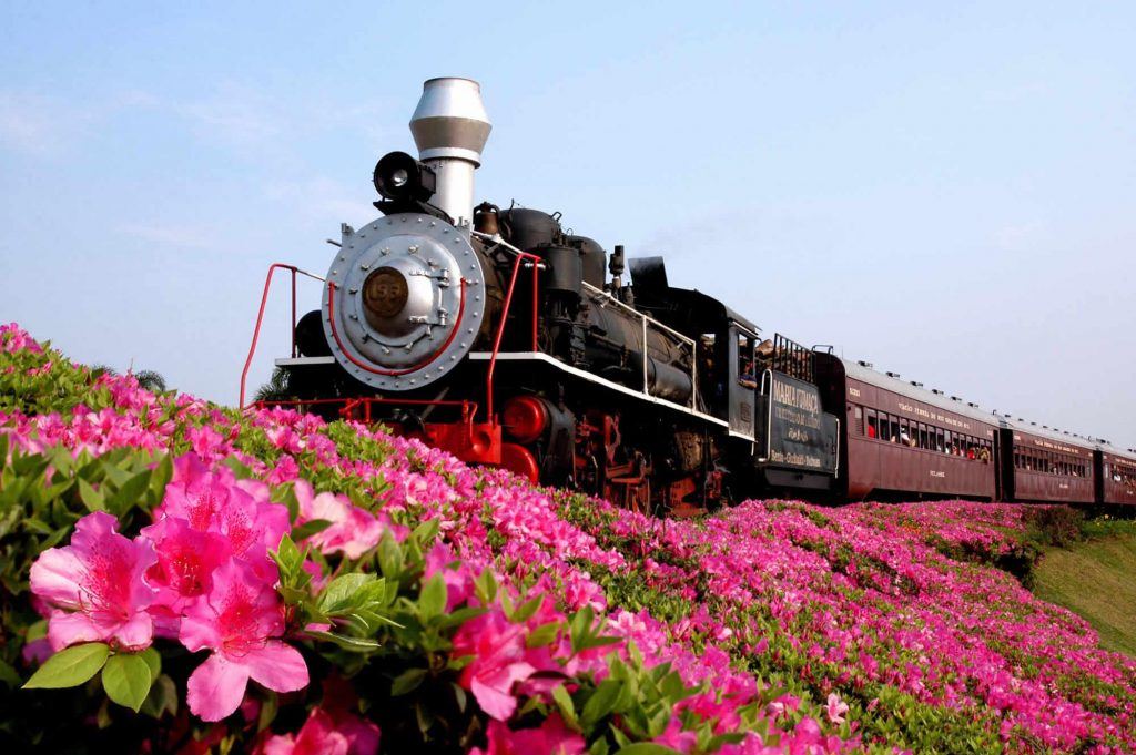 Maria Fumaça - Serra Gaúcha | Crédito: Shutterstock Maria Fumaça - Serra Gaúcha | Crédito: Shutterstock