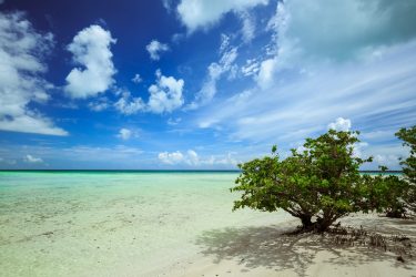 Cayo Coco - Cuba | Crédito: Shutterstock