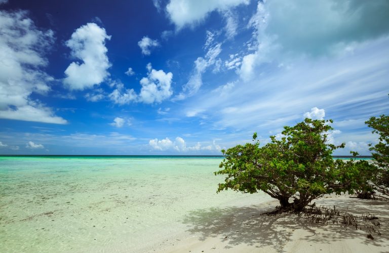 Cayo Coco - Cuba | Crédito: Shutterstock