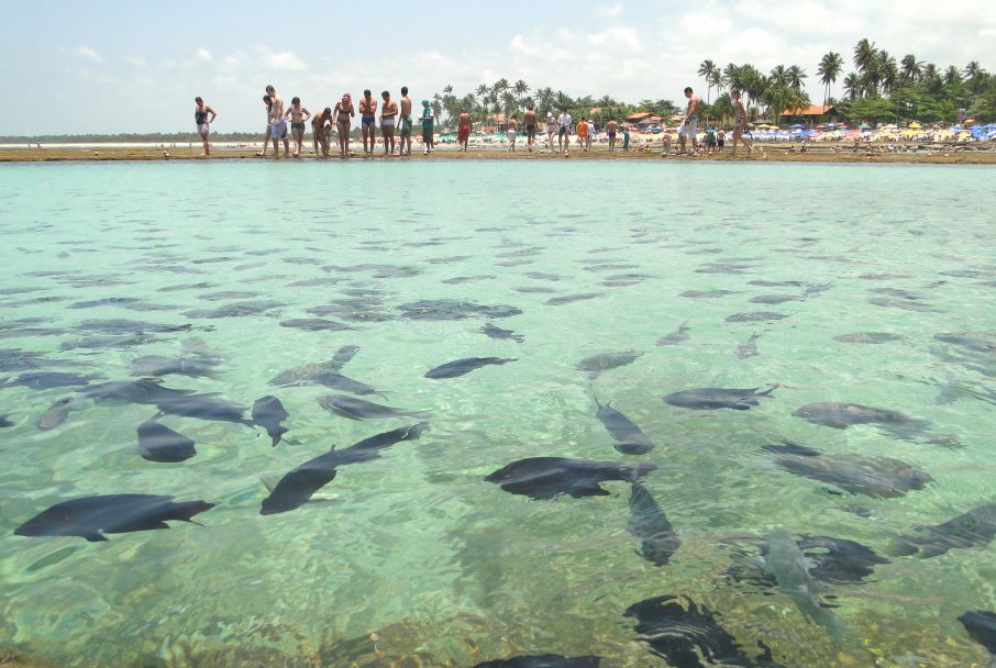 Porto de Galinhas - Pernambuco | Crédito: Shutterstock.com