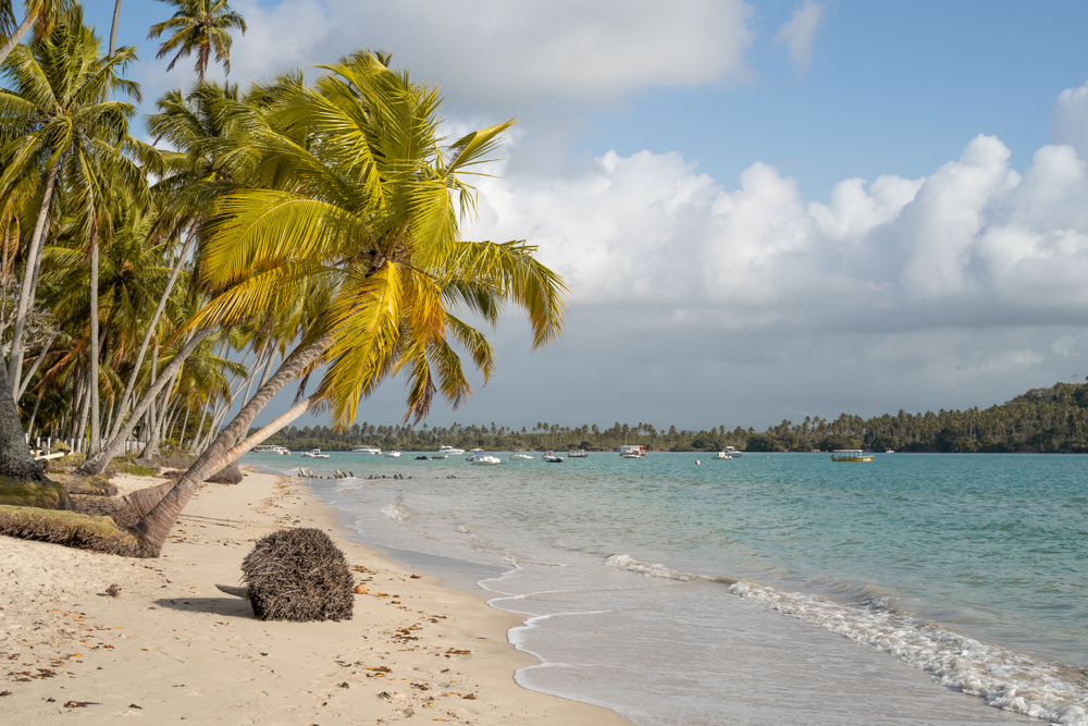 Praia dos Carneiros - Recife - Pernambuco | Crédito: Shutterstock.com/Breno Pessoa