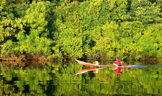 A Amazônia brasileira ocupa a décima posição no ranking das melhores regiões da Lonely Planet | Crédito: Dreamstime A Amazônia brasileira ocupa a décima posição no ranking das melhores regiões da Lonely Planet | Crédito: Dreamstime