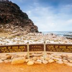 Cabo da Boa Esperança - Cidade do Cabo - África do Sul | Crédito: Shutterstock