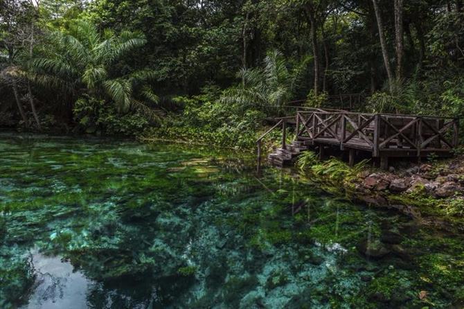 Cachoeira Estância Mimosa - Bonito | Crédito: Shutterstock