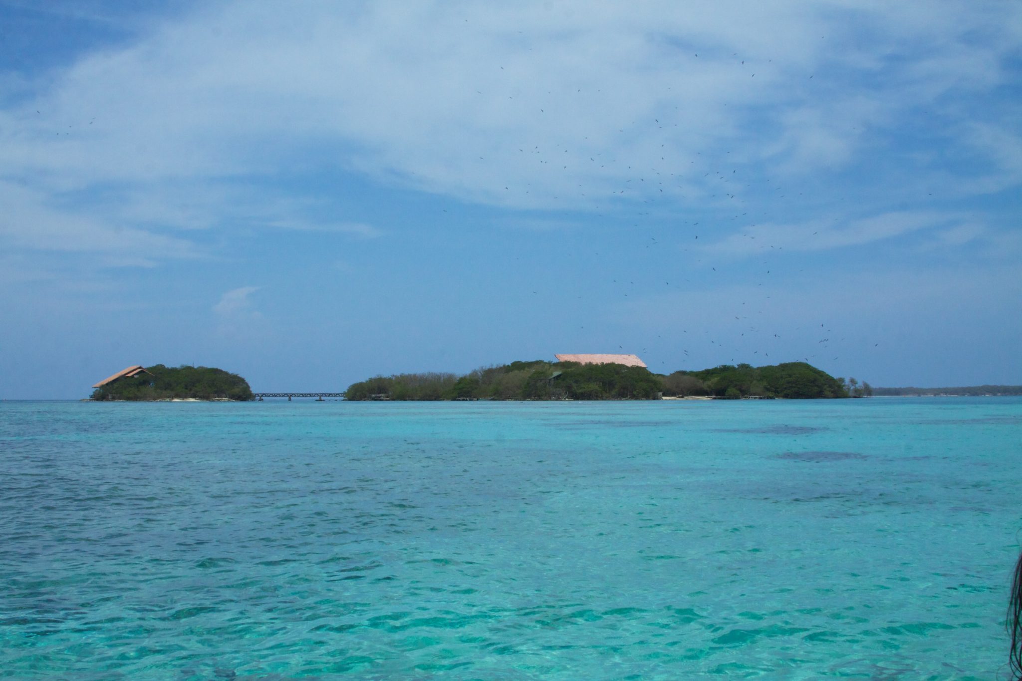 Islas del Rosario McKay Savage