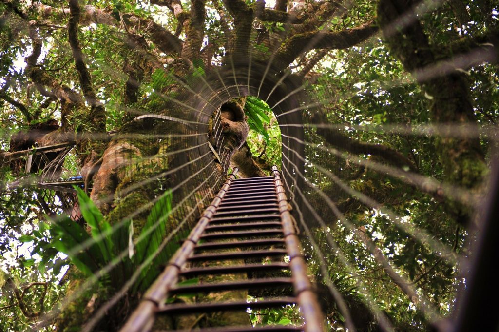 St. Maarten__Ifurnish Parque Nacional Lamington – Costa Leste da Austrália | Crédito: Thinboyfatter