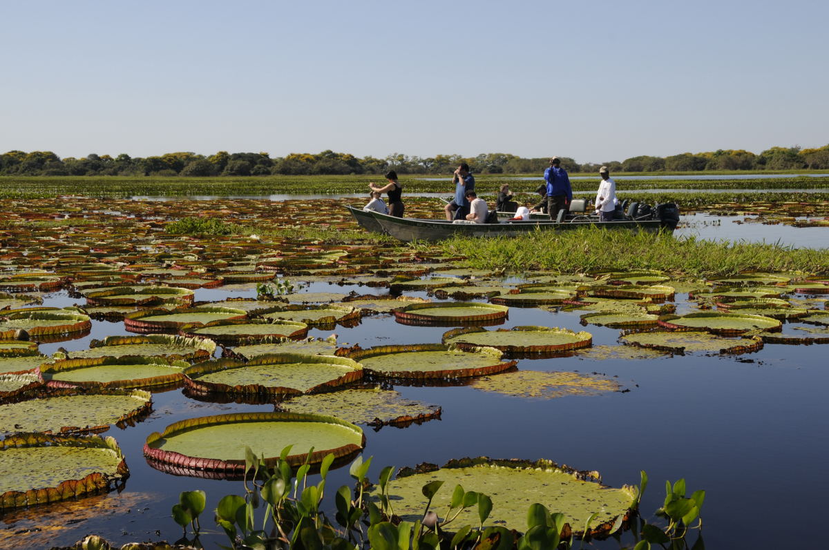 Pantanal_Crédito_Bolivar Porto Pantanal - Campo Grande - Mato Grosso do Sul