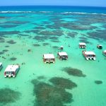 Piscinas naturais de Maragogi - Alagoas | Crédito: Guilhermo Novolisio