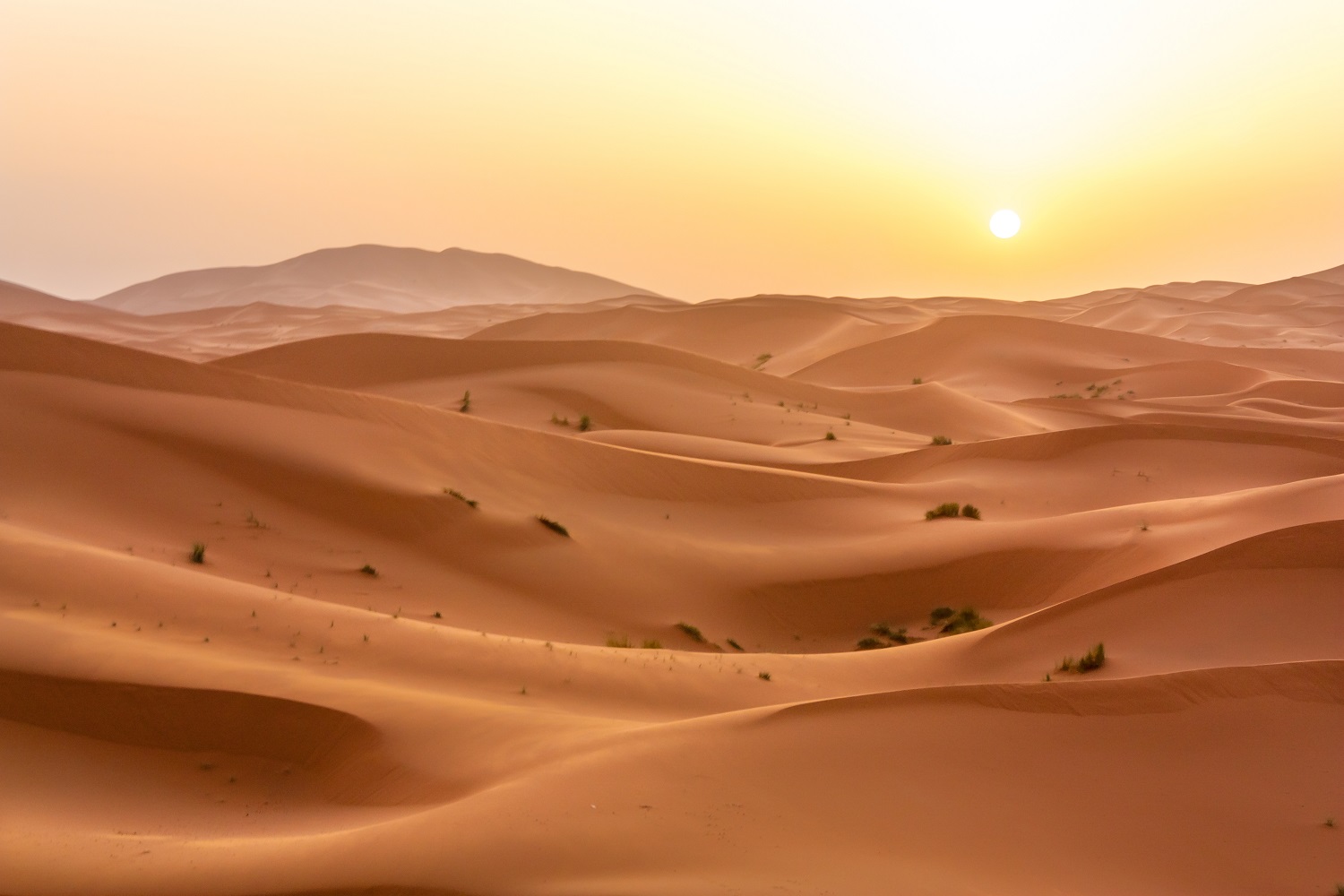 A imensidão do Deserto do Saara, na África, um dos desertos que vale a pena conhecer | Crédito: Shutterstock