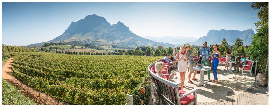 SAT UK VINYARDS LR Região Vinícola do Cabo - Cidade do Cabo - África do Sul | Crédito: South African Tourism