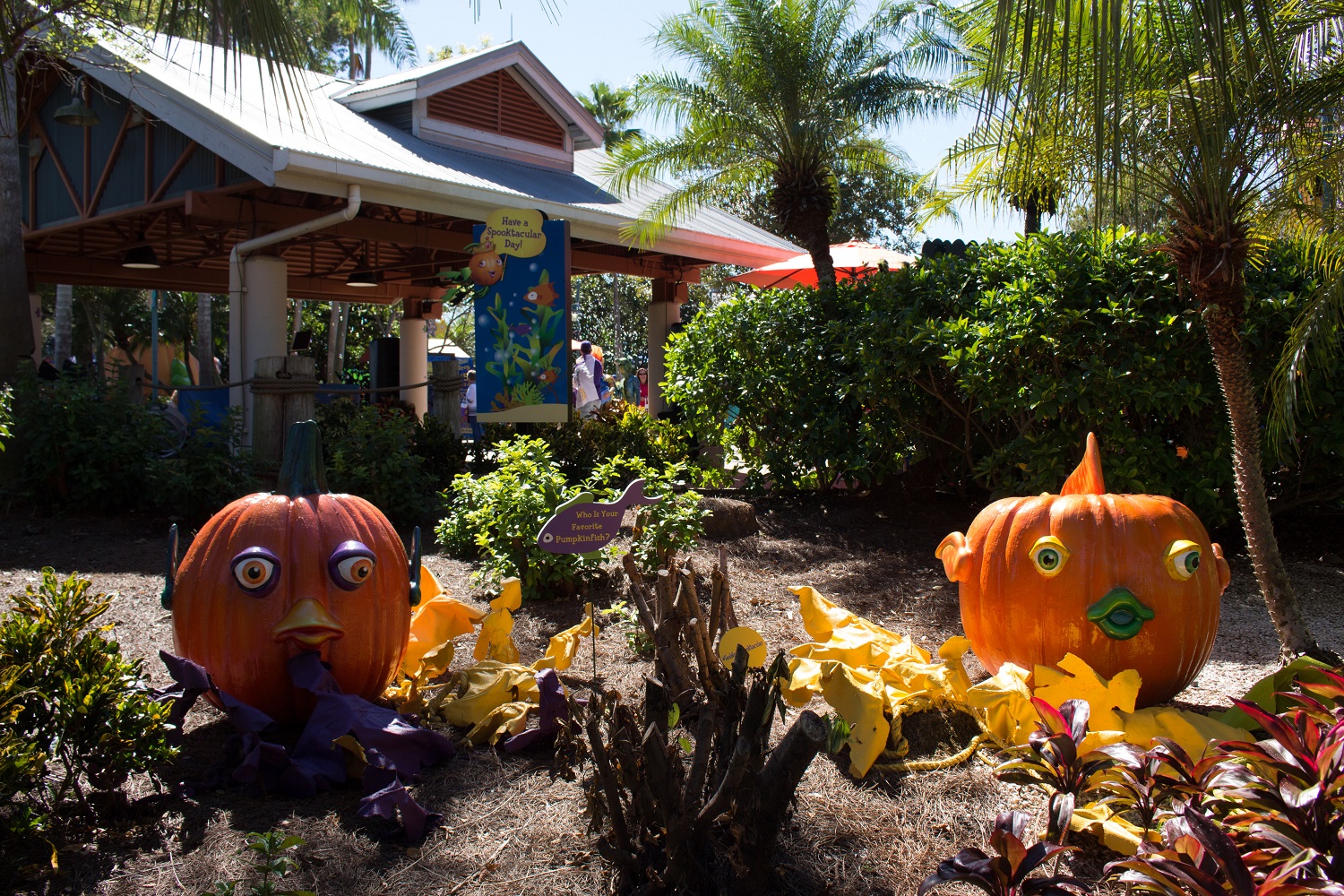 Aproveite o melhor do Halloween no SeaWorld Segue Viagem