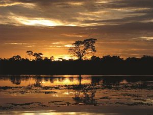 shutterstock_15341602_amazon-river