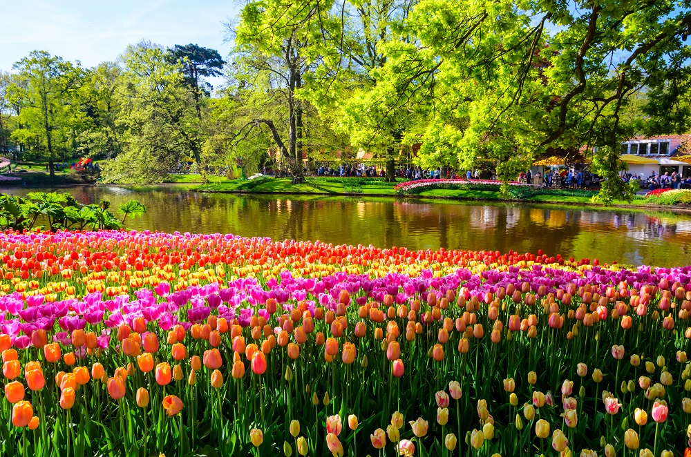 Keukenhof - Amsterdã | Crédito: Shutterstock