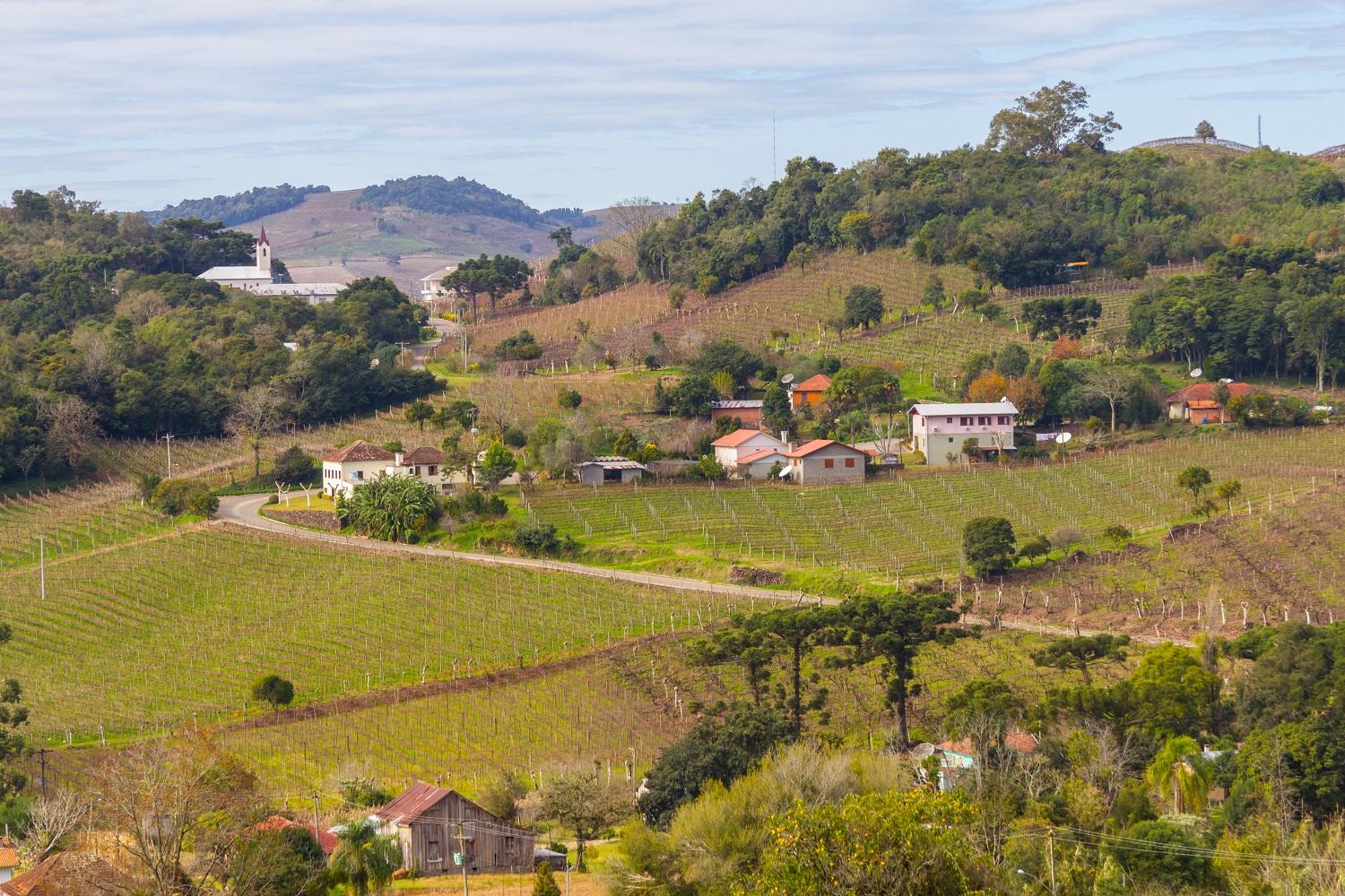 shutterstock_671649292_Village and Vineyards in winter, Vale dos Vinhedos valley_Bento Goncalves
