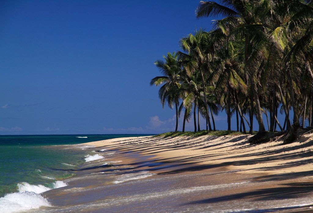 Praia do Gunga - Maceió | Crédito: Shutterstock