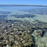 As águas límpidas de Maragogi - Alagoas | Crédito: Shutterstock.com/michelepautasso