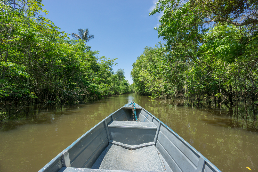 Amazônia - Brasil | Crédito: Shutterstock destinos
