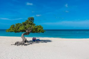 shutterstock Eagle Beach Aruba