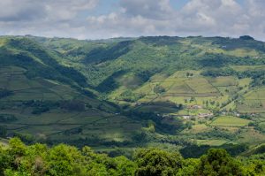 Bento Goncalves Rio Grande do Sul Credito editorial Kleyton Kamogawa shutterstock 1098579308