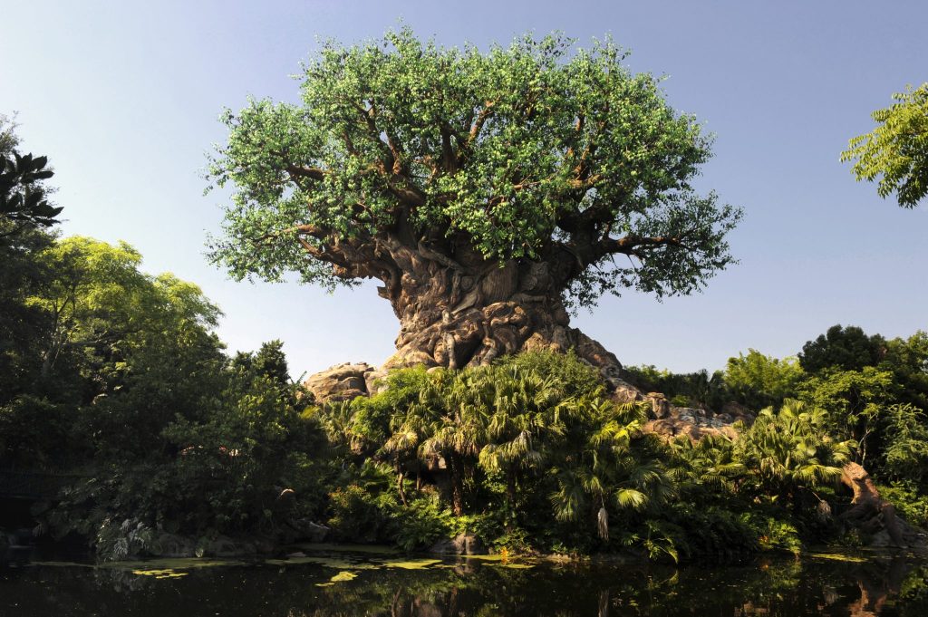 O mundo mágico de Walt Disney World Resort anunciou que o começo da reabertura em fases de seus Parques Temáticos | Crédito: © Disney O mundo mágico de Walt Disney World Resort anunciou que o começo da reabertura em fases de seus Parques Temáticos | Crédito: © Disney