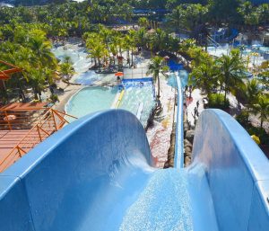 Parques aquáticos no Brasil: sSe amarra em toboáguas? Pois o Thermas dos Laranjais, em Olímpia (SP), não decepciona | Crédito: Divulgação