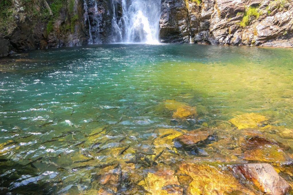 Nobres - Mato Grosso | Crédito: Shutterstock