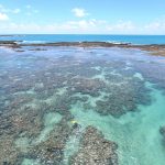 Reabertura de Maceió - Piscinas naturais de Maragogi - Alagoas | Crédito: Shutterstock.com/Caio Pederneiras