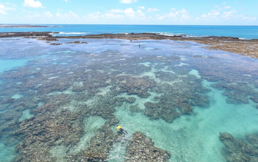 Galés em Maragogi - Maceió | Crédito: Shutterstock.com