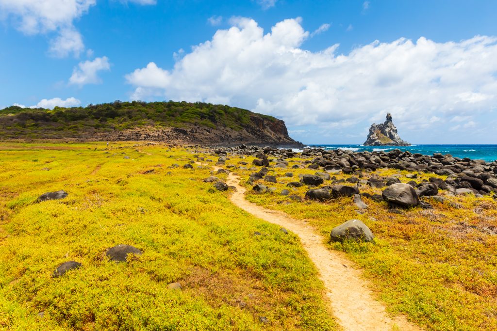  - Pernambuco | Crédito: Shutterstock