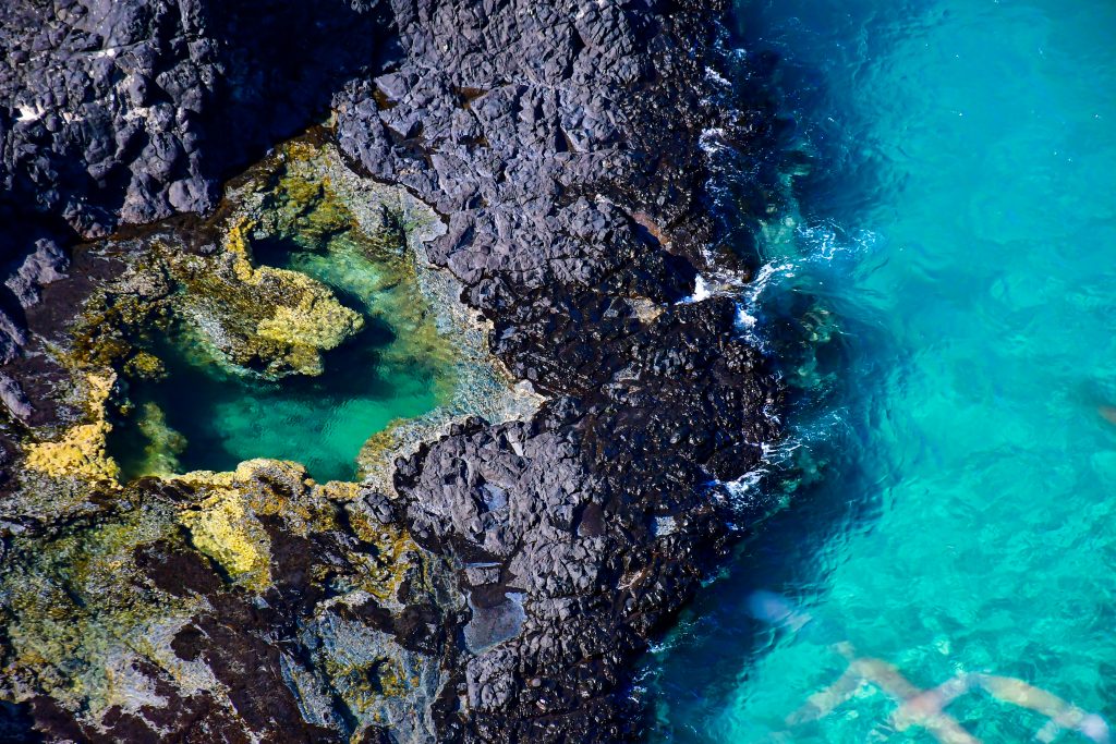 Fernando de Noronha - Pernambuco | Crédito: Shutterstock