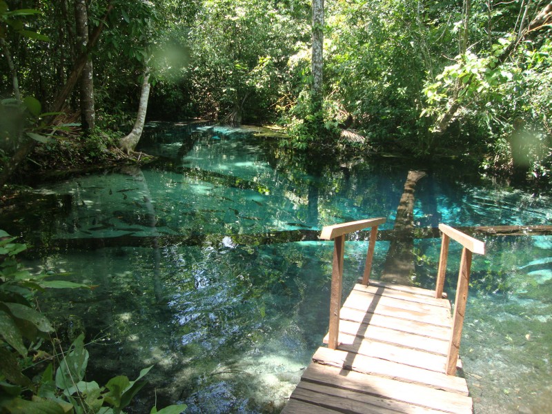 Aquario Encantado Aquário Encantado - Nobres - Mato Grosso | Crédito: Divulgação