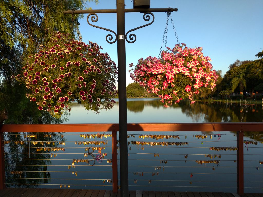 shutterstock 1630112005