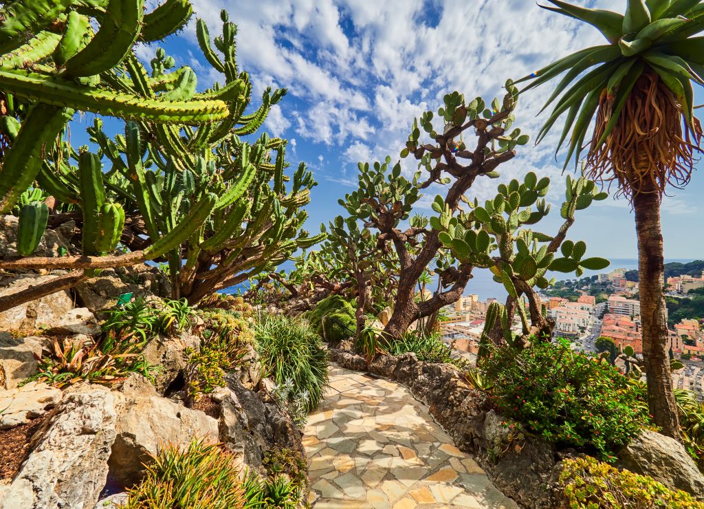 shutterstock 733623802 Jardim Exotique - Monte Carlo - Mônaco | Crédito editorial: Cristian Puscasu / Shutterstock.com