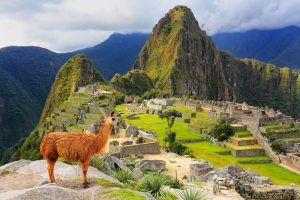 Machu Pìcchu Peru shutterstock 525826249