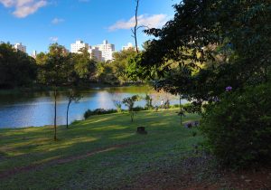 Lugares ao ar livre para curtir: Parque da Aclimação - São Paulo | Crédito: Shutterstock