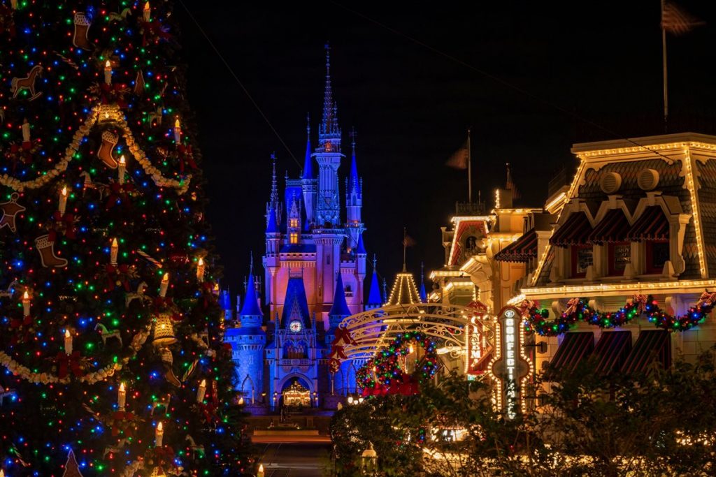 disney 7
